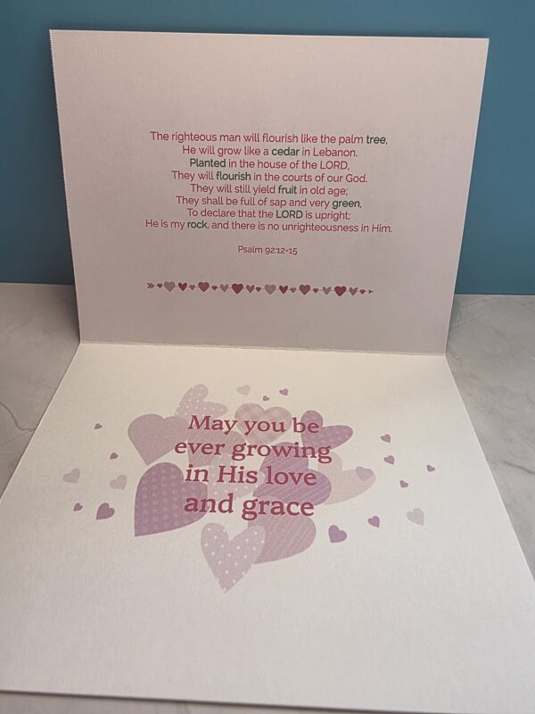 Raining-and-Growing-Hearts Two Pack