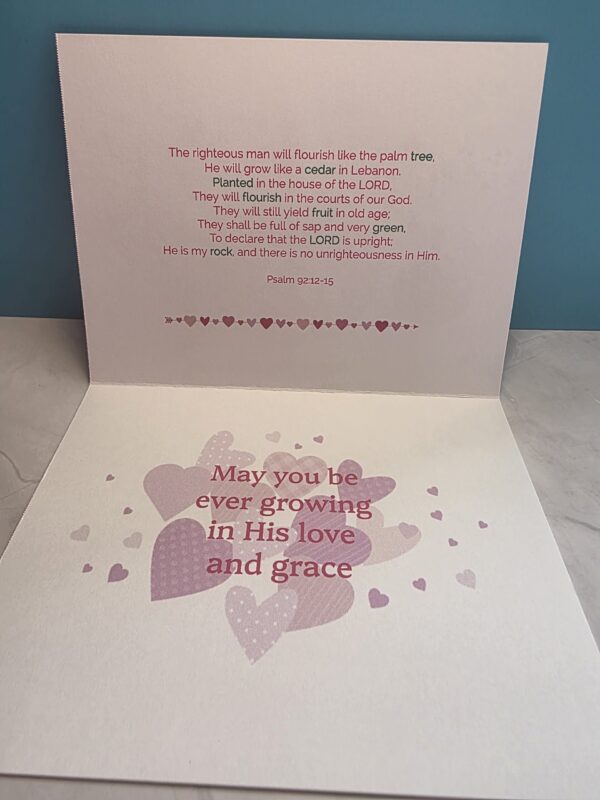 Raining-and-Growing-Hearts Two Pack
